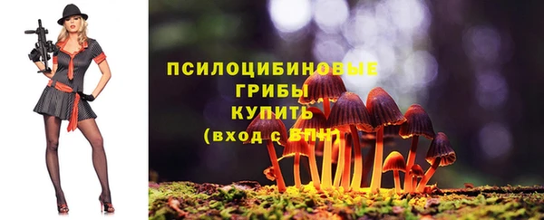 герыч Бугульма