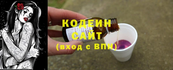ECSTASY Богородицк