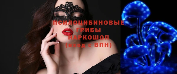 ПСИЛОЦИБИНОВЫЕ ГРИБЫ Богородск