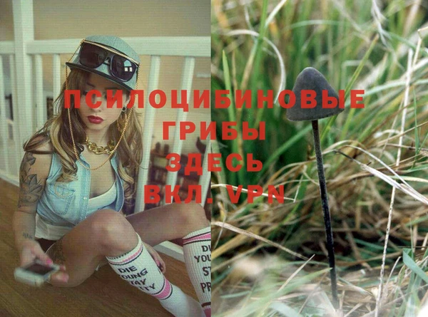 прущая мука Саяногорск