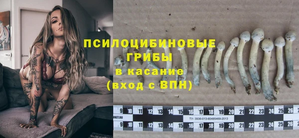 ECSTASY Богородицк