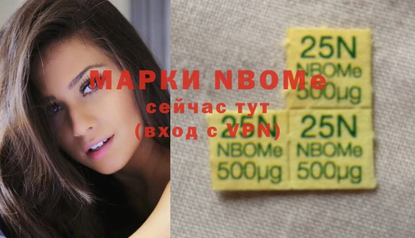 ECSTASY Богородицк