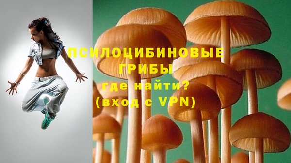 прущая мука Богданович