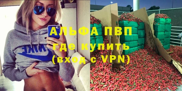 ECSTASY Богородицк